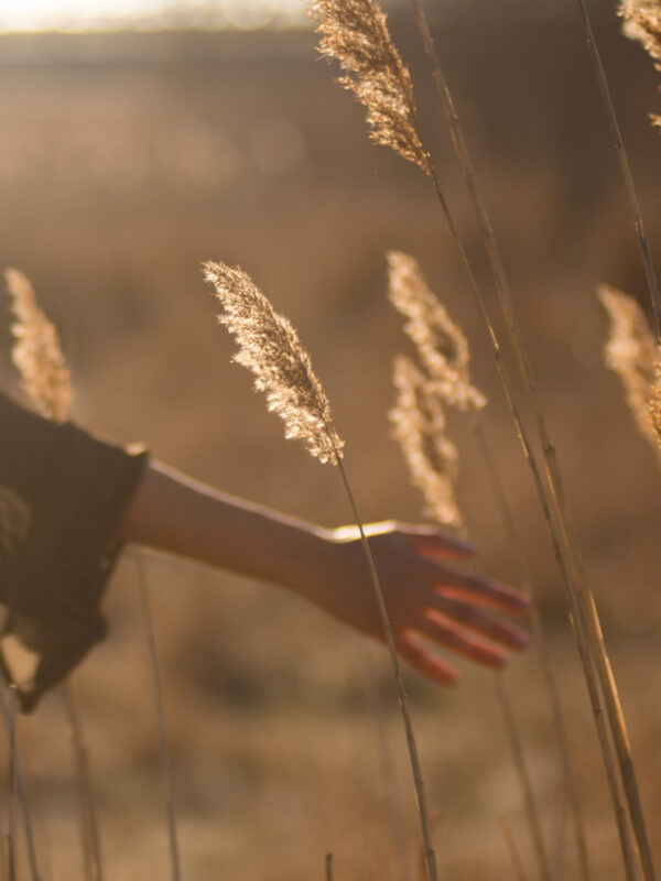 Hand in Grass